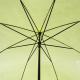 �ӥˡ��뻱50cm�����顼 �����ʥ��������ˡ�6�ܥ��å�