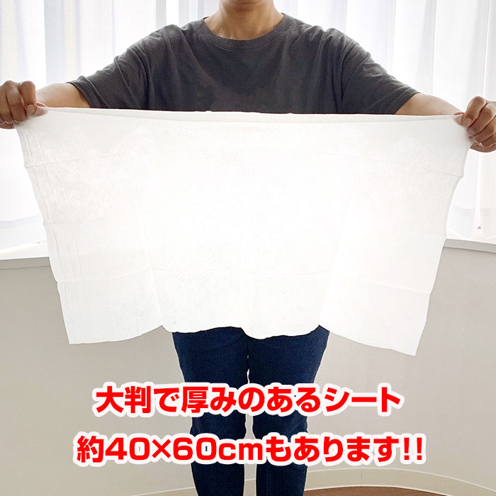 超大判クールタオル 暑さもニオイも一凍涼断 18枚入 12個セット
