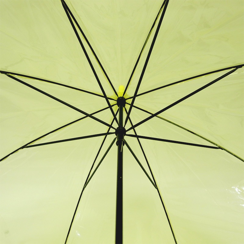 �ӥˡ��뻱50cm�����顼 �����ʥ��������ˡ�12�ܥ��å�