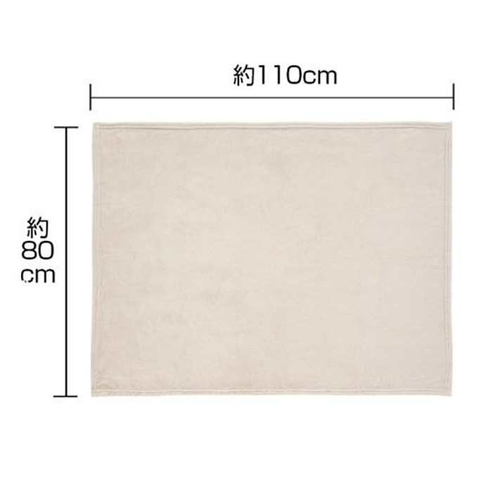 プレミアム ブランケット（ライトグレー）36個セット(1c/s)（2376461