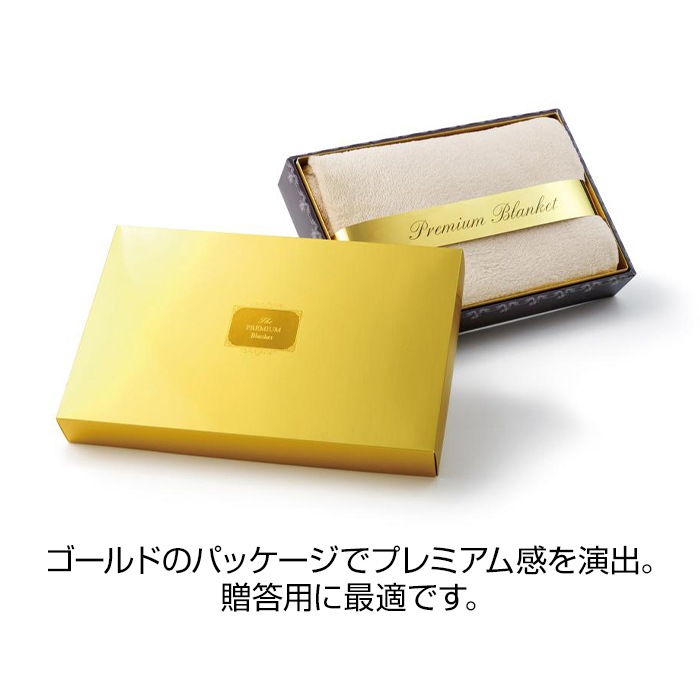 12_000000005194.jpg?1761707153