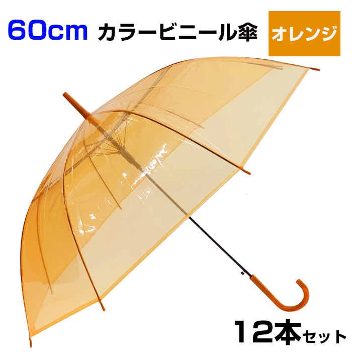 60cm ���顼�ӥˡ��뻱������󥸡�12�ܥ��åȡ�