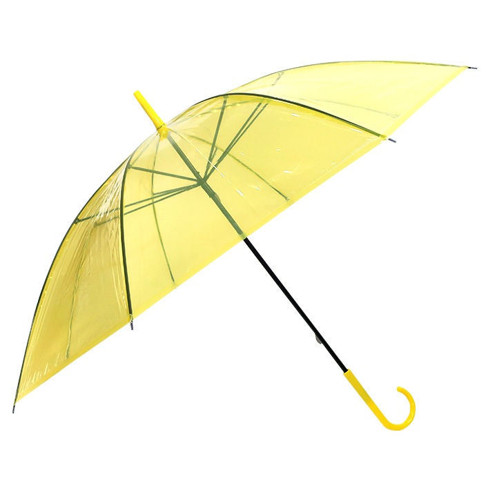 ӥˡ뻱 50cm 顼 60ܥå(1c/s) 