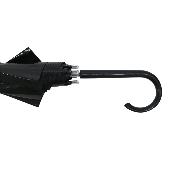 ӥˡ뻱 50cm 顼 120ܥå(2c/s) 