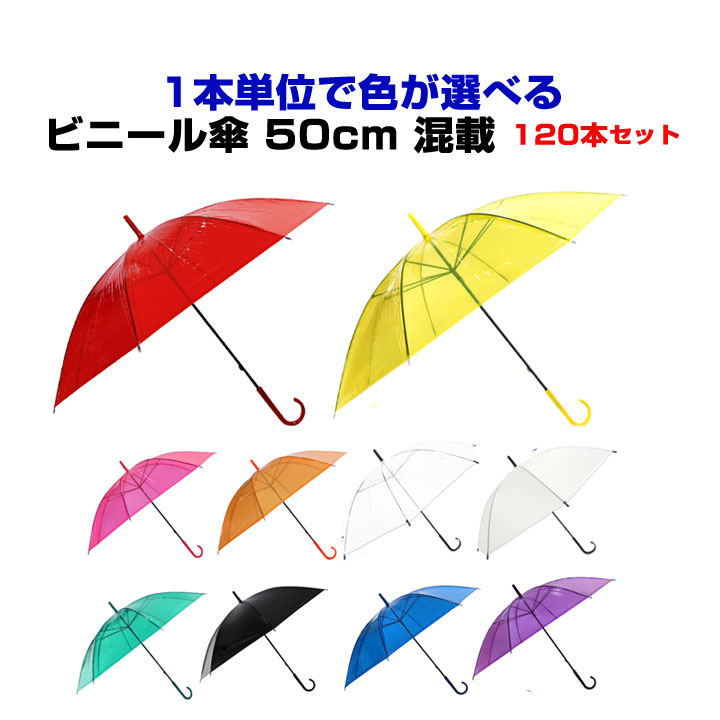 ӥˡ뻱 50cm 顼 120ܥå(2c/s) 