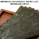 �괬ǼƦ 250g 8�ޥ��å�(1��/��) ������ ǼƦ���ۻ�