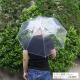 �ӥˡ��뻱50cm Ʃ�� ���� �곫���� 600�ܥ��å�(10c/s) #501