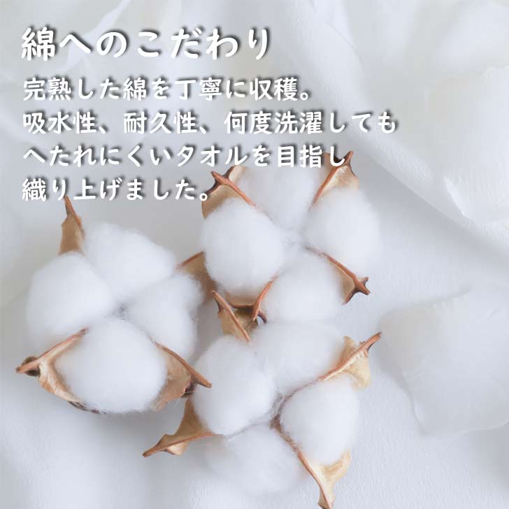 wataito�ʤ錄����) �ե�� 34��15�� ��������ϥ󥫥���