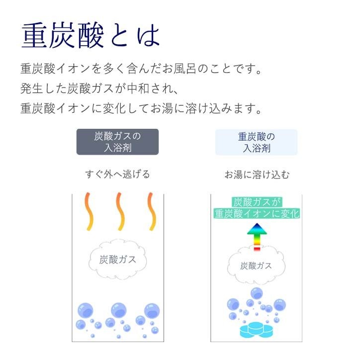 GPP ӥ塼 ɥåɥʥ  ú