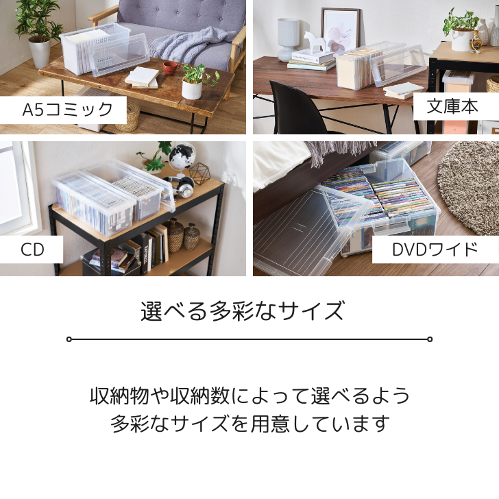 ŷ DVDȸ˥磻