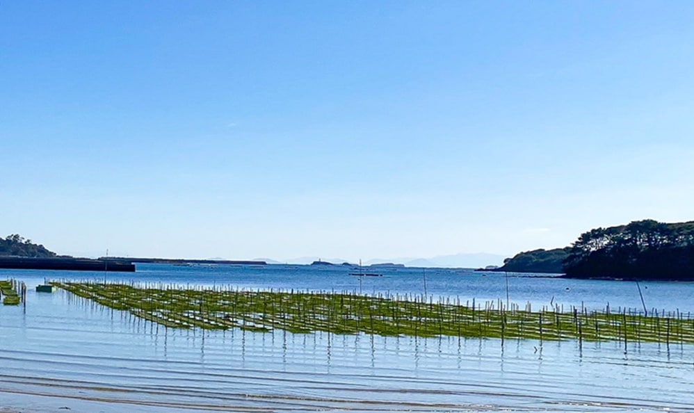 あおさ (25g) | 干物・海産物 | うにの長田商店