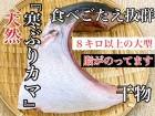 ���꾦�ʡش��֤ꥫ�ޤδ�ʪ��