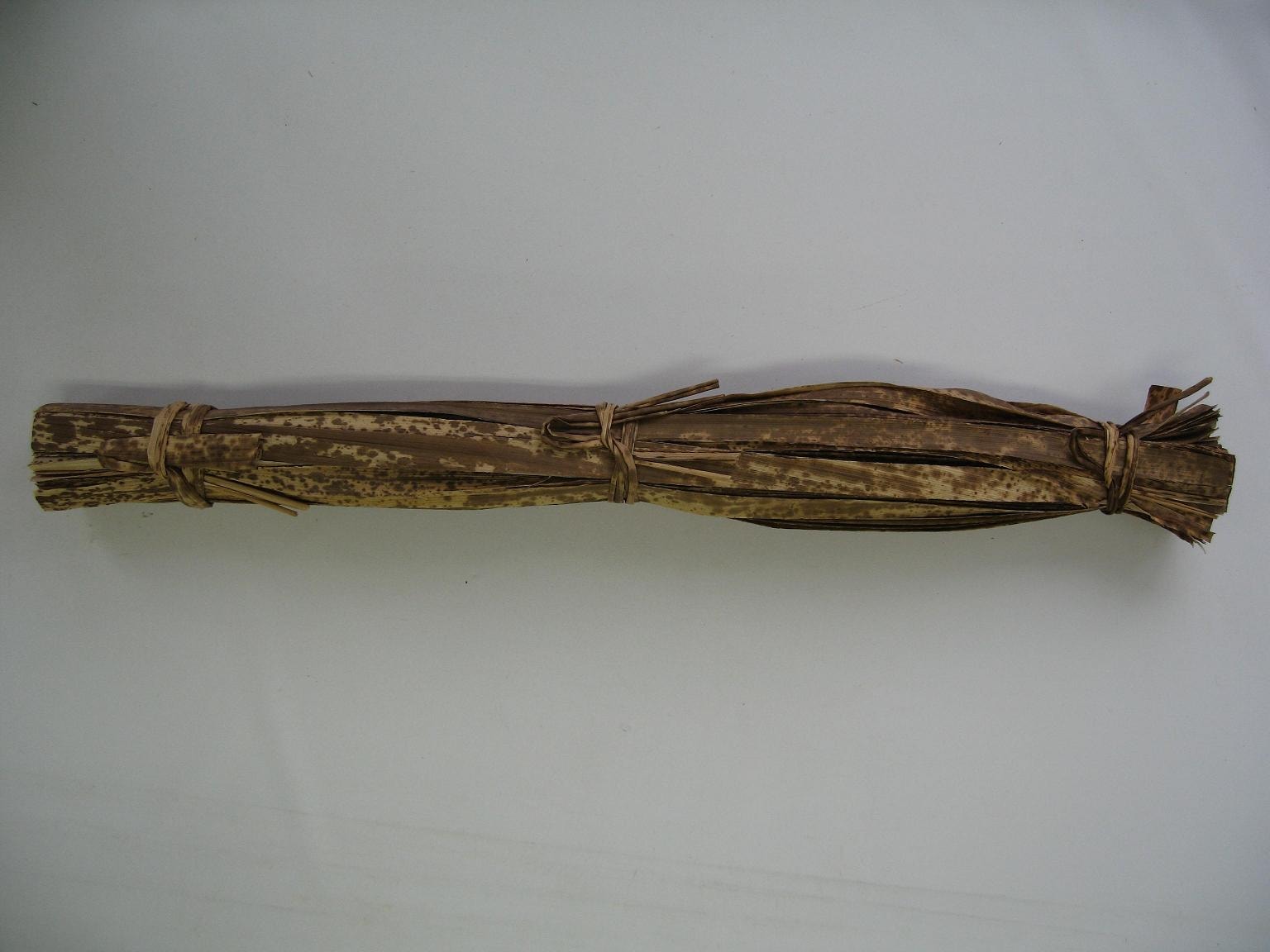 天然竹皮ひも　100本入(サイズ12×470㎜)