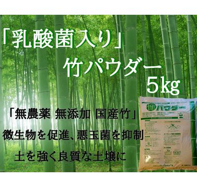 BAMLEE｜竹の皮、木、紙、エコ容器の通販サイト【ECOパッケージプラザ