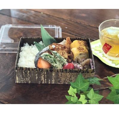 鮭と野菜天 (MXH-6H-TT)