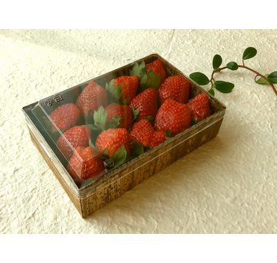 フレッシュストロベリー1 (MXH-6H-TT)