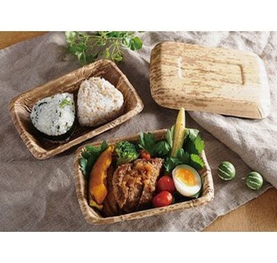 ハンバーグ膳 (TPY-4H)