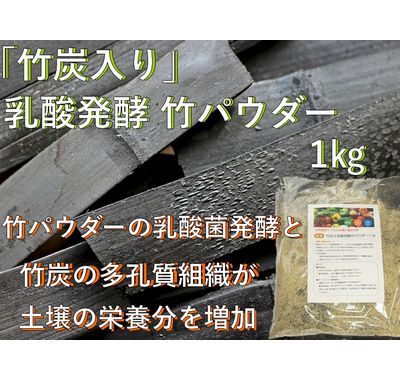 竹炭入り 乳酸発酵 竹パウダー 1㎏ 竹の粉 エコ