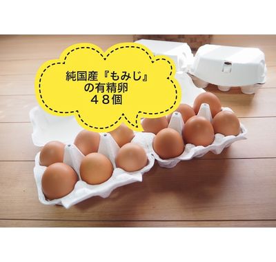 竹パウダーで育った 純国産鶏種「もみじ」のタマゴ 48個入 送料無料（北海道・沖縄別）