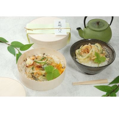 夏越ごはん (FLR-01B本体のみ)