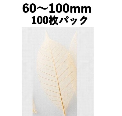 すかし木の葉 S 100枚入 18791S 透明感 菓子 料理