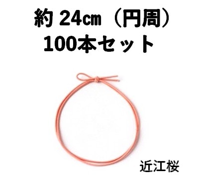 細ゴム 2重片花結び 58cm 近江桜 100本セット 上品 弁当 ギフト お菓子