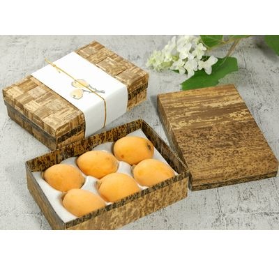 竹皮貼 ハイブリッド容器 MXH-6H 存在感 弁当 菓子 ギフト