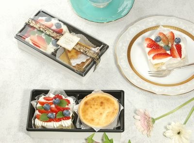 ケーキセット (WPO-20-10-2BK)