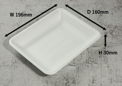 トレー CN20-16F(L) 100枚パック 196×160×30mm PSP 多岐用途 精肉/鮮魚/惣菜