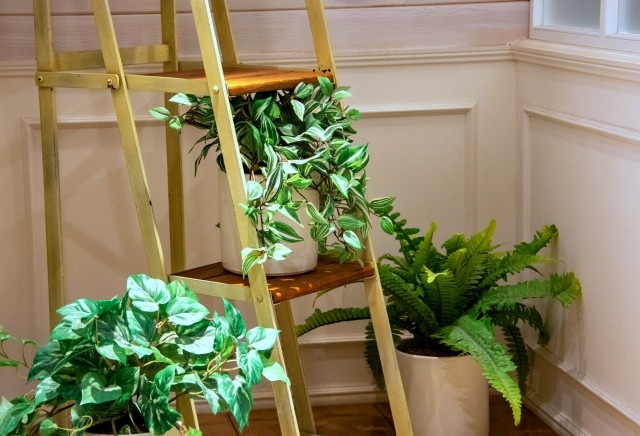 観葉植物用 竹パウダー 1 竹の粉 土作り ガーデニング 消臭効果 無農薬 観葉植物用 竹パウダー 1 竹の粉 土作り ガーデニング 消臭効果 無農薬