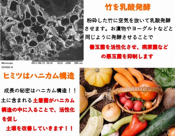 竹炭入り 乳酸発酵 竹パウダー 5㎏ 【コンポスト用】　竹の粉 エコ