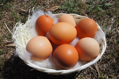 竹パウダーで育った 純国産鶏種「もみじ」のタマゴ 48個入 送料無料（北海道・沖縄別）