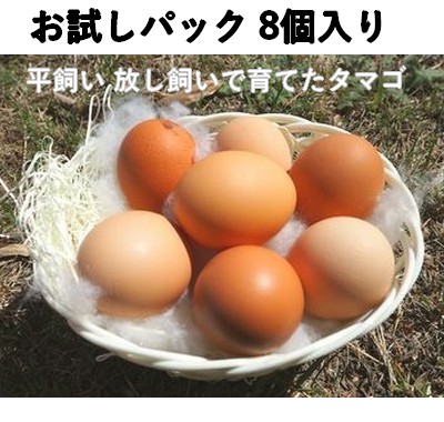 竹パウダーで育った 純国産鶏種「もみじ」のタマゴ 8個入 お試しセット 送料無料（北海道・沖縄別）