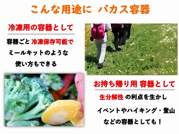 バガス モールド容器（3つ仕切り付き・蓋付）｜弁当・惣菜向け｜環境配慮エコ紙容器｜75個パック｜SGP-221