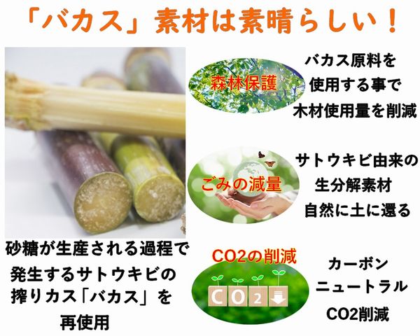 バガス モールド容器（3つ仕切り付き・蓋付）｜弁当・惣菜向け｜環境配慮エコ紙容器｜150個パック｜SGP-221