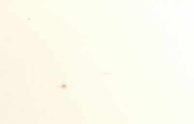 弁当・惣菜向け｜木製 ポプラウッド容器｜耐水・耐油 レンジ対応｜本体 50個パック PW-172B