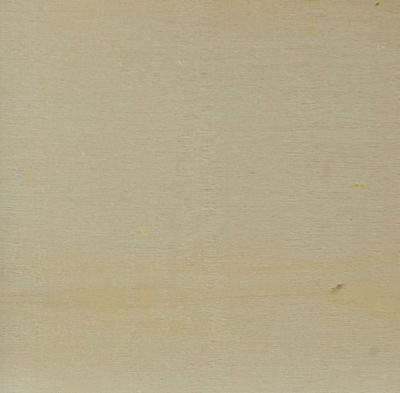 ウッディートレー WYT-P01 50枚パック 木 トレー *発送までに数日かかります