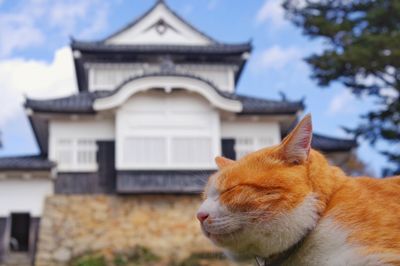 さんじゅーろー トートバック A 390×370×100mm 高梁 みやげ 備中松山城