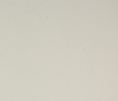 モールド容器 DKP-8 仕切り有 無地　220×197×28mm  バカス イベント 弁当 スイーツ