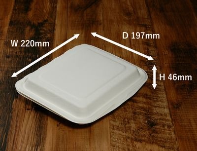 モールド容器 DKP-8 仕切り有 無地 100枚パック バカス イベント 弁当 スイーツ