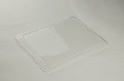弁当容器 BF弁当62-RB　ふた付 50枚パック 235×186×33mm BF レンジ対応 弁当/幕の内