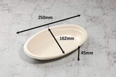 モールド カレー SGP-250-C 本体 600枚パック 冷凍 レンジ対応 丼 めん類