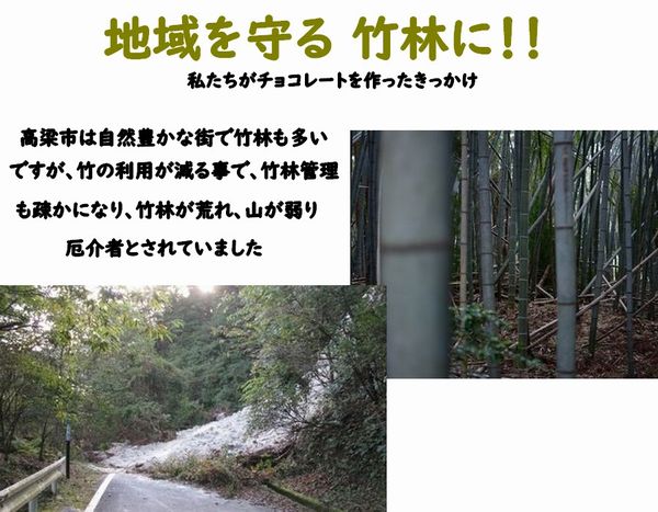 おもいのたけ チョコレート10個入り 高梁 みやげ 紅茶リーフ たけのこパウダー 入り