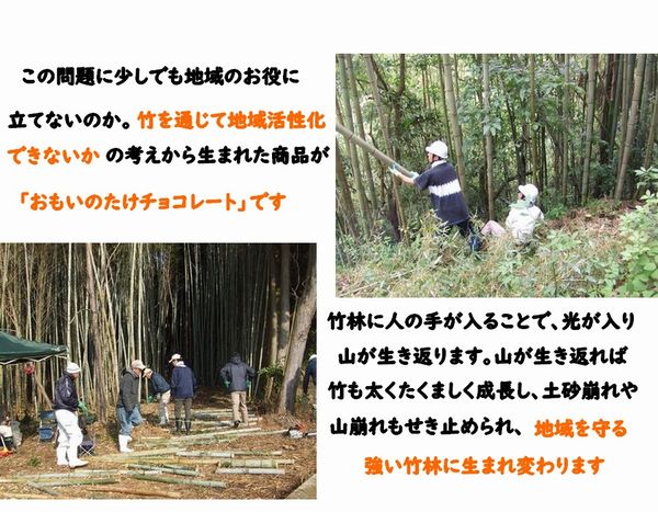 おもいのたけ チョコレート10個入り 高梁 みやげ 紅茶リーフ たけのこパウダー 入り