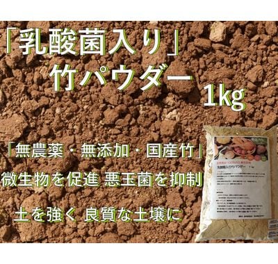 乳酸菌入り 竹パウダー｜自然素材100％ 土壌改良材｜家庭菜園・園芸向け 1kg