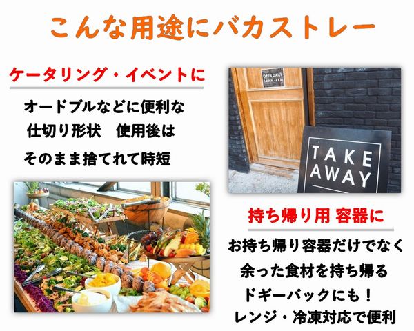 バガス モールド容器（仕切り付き・蓋付）｜弁当・惣菜向け｜環境配慮エコ紙容器｜SGP-181-6S-FT