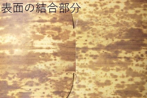 つつみ 竹皮柄 PPL-1 レンジ対応 弁当 お菓子 寿司