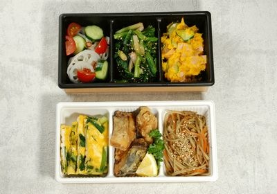 デリカセレクション （TMPO-20-10-3BK）