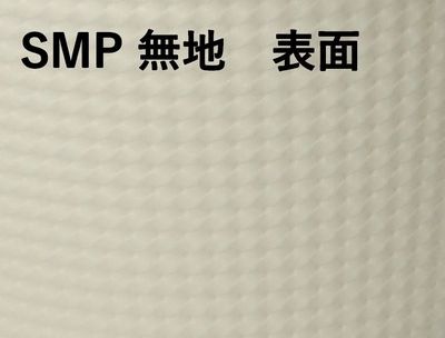 Ǯƴ SMP-900E-2 ̵ 480ѥå ΤΤ Ǯ ۻ Ч ں