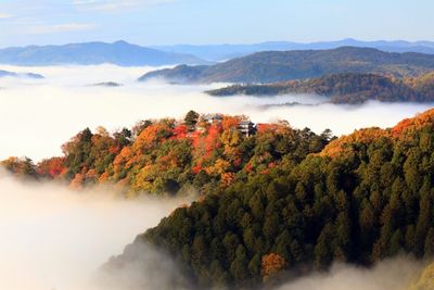 さんじゅーろー　ひのき オープナー 高梁 みやげ 備中松山城 猫城主